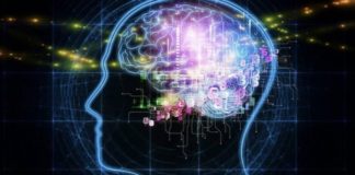 O TI NJERI QË MENDON