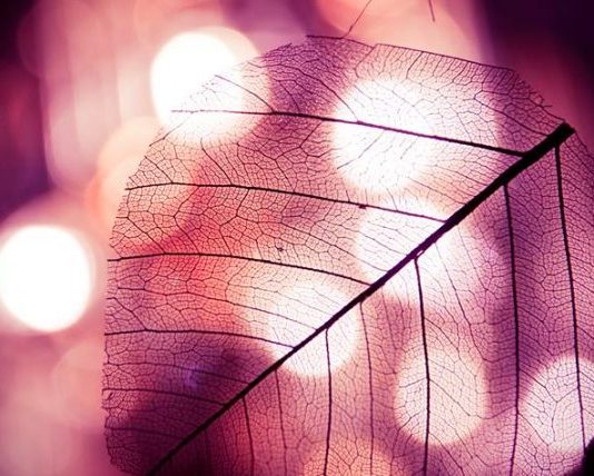 RUAJI KËTO SHTATË RREGULLA TË LUMTURISË