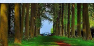 SI E DI TI, SE KUSH TË DO?!