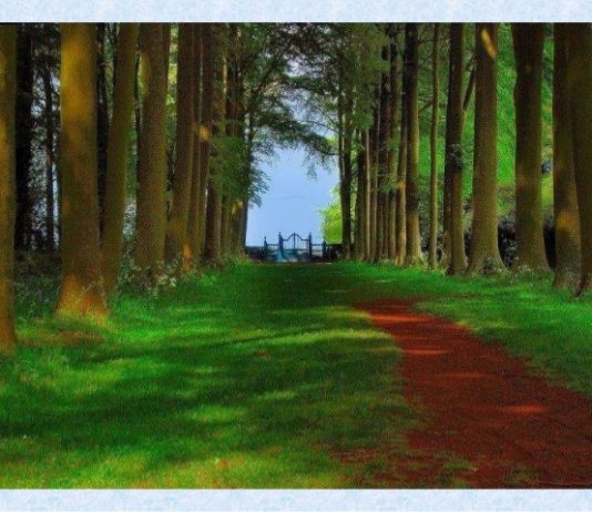 SI E DI TI, SE KUSH TË DO?!