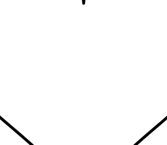 “ZEMRA IME ËSHTË E BARDHË”