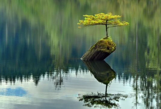 DYNJANË E KUPTON KUR E HEDH DHEUN MBI ATË QË E DO