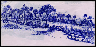 KOHË TË ÇUDITSHME