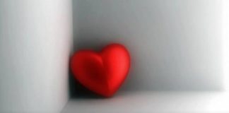 A E DI KUR VDES ZEMRA JOTE?!