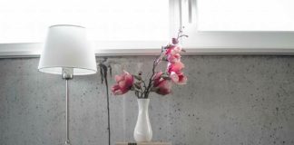 VETËMASHTRIMI ME VEPRA QË KËNAQIN