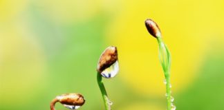 SHFRYTËZOJE JETËN PARA SE TË TË SHFRYTËZOJË AJO