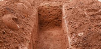 A DO TA SHOHËSH DYNJANË PAS VDEKJES SATE?