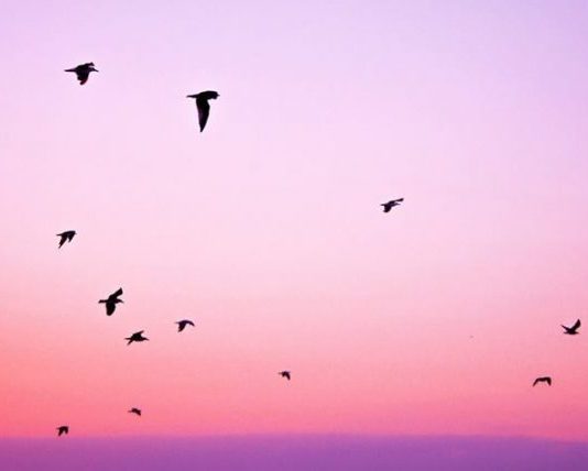 MËSIME JETE TË ÇMUESHME PËR ÇDO NJERI