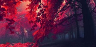 SHPIRTI IM, TË LUTEM PËR HIR TË ALLAHUT TË MË SHPËTOSH!