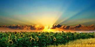 CILËS KATEGORI I TAKON?!