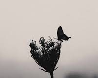 PESË GJËRA QË DUHET T’I KUPTONI NË JETËN TUAJ