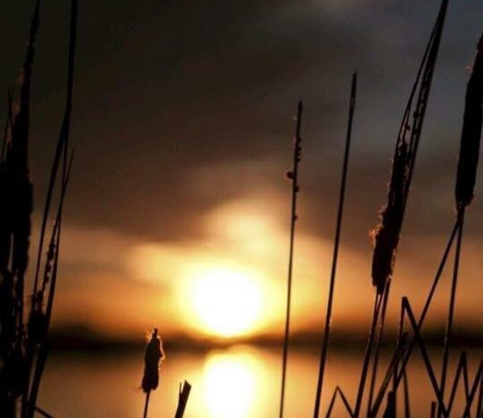 TRI PERIUDHAT E JETËS QË TË BËJNË TË QESHËSH