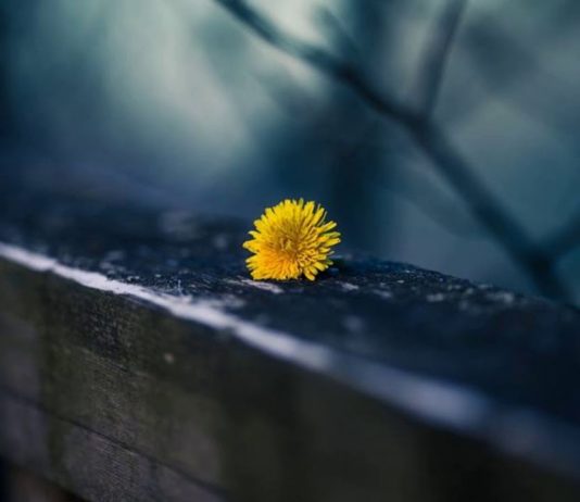 MËSOJI KËTO TRI GJËRA