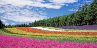 A I KE PARË TË PËRZGJEDHURIT?