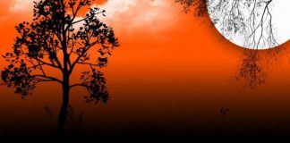 NUK VDES ASNJË SHPIRT PA E PLOTËSUAR RISKUN E VET