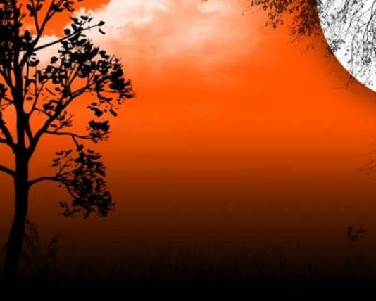 NUK VDES ASNJË SHPIRT PA E PLOTËSUAR RISKUN E VET