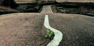 E RESPEKTOJMË VETEN DHE E RESPEKTOJMË TJETRIN