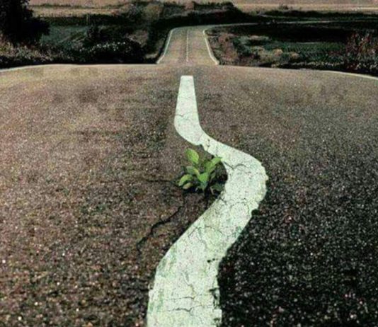 E RESPEKTOJMË VETEN DHE E RESPEKTOJMË TJETRIN