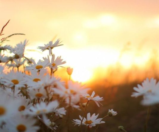 JI GJITHMONË ME ALLAHUN