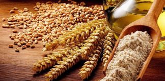 ZEKATI I FITRIT – RREGULLA DHE DOBI