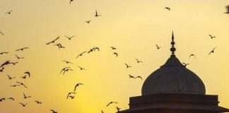 TË KAPURIT PËR ADHURIME PAS RAMAZANIT