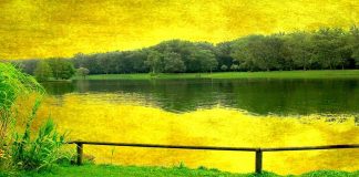 NËSE JE I TILLË, DIJE SE JE I MREKULLUESHËM