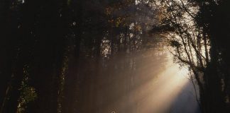 I ÇMENDUR ËSHTË AI QË MENDON SE NJERËZIT NUK FLASIN PËR TË