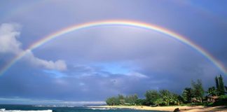 NJERIUN E DALLON MORALI, E JO BUKURIA