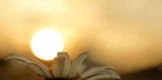 MOS E HARRO KËTË RREGULL NË JETË