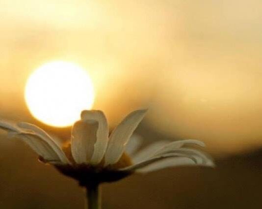 MOS E HARRO KËTË RREGULL NË JETË