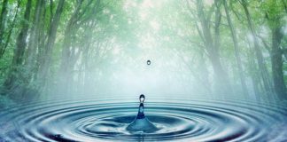 DISA VEPRA QË I SHLYEJNË MËKATET