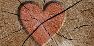 THYERJA E ZEMRËS ËSHTË MË E RËNDË SESA AJO E ESHTRAVE