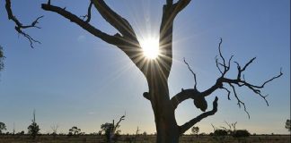 MJERË PËR NE NËSE NUK NDRYSHOJMË