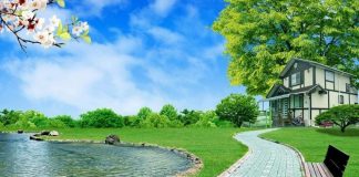 MERR MËSIME NGA AJO QË SHEH