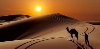 NË MIRËSI BËHU SI AI QË ECËN NËPËR RËRË