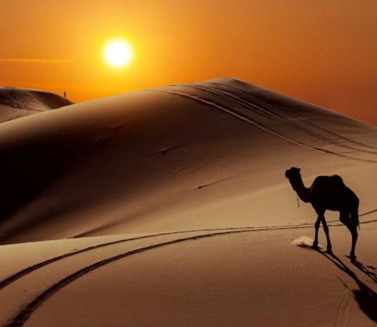 NË MIRËSI BËHU SI AI QË ECËN NËPËR RËRË