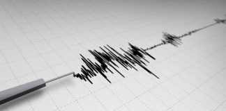 TËRMETET – 22 DISPOZITA DHE RREGULLA –