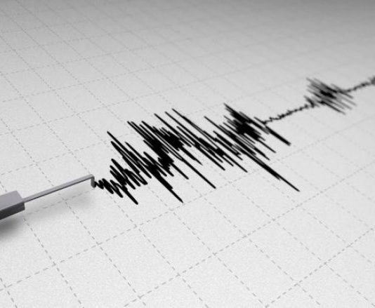 TËRMETET – 22 DISPOZITA DHE RREGULLA –