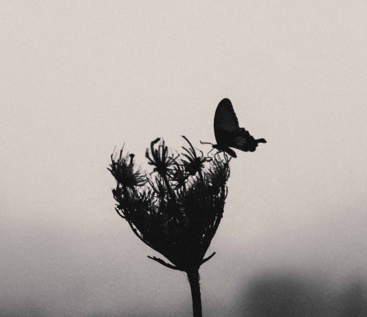 KATËR GJËRA ZGJIDHEN ME KATËR TË TJERA