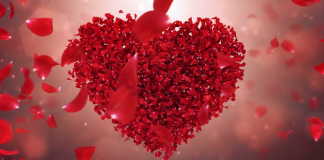 PAQJA QOFTË MBI KËTO ZEMRA