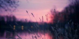 KËSHILLA TË PËRGJITHSHME