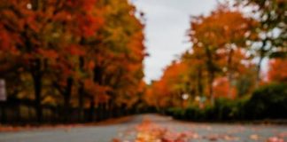 JETA VAZHDON EDHE PSE SHPIRTI NDIEN DHEMBJE DHE SYRI LOTON