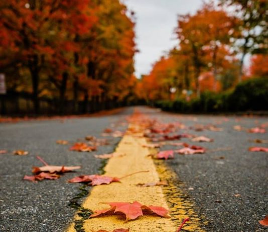 JETA VAZHDON EDHE PSE SHPIRTI NDIEN DHEMBJE DHE SYRI LOTON