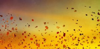 JETA MES ËNDRRËS DHE SHPRESËS