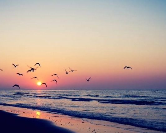 PËR NJË PËRDITSHMËRI MË TË LUMTUR!