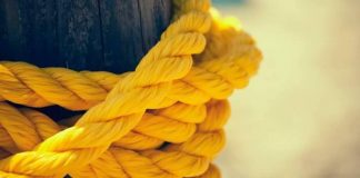 TË DHËNA TË VËRTETA