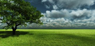 TI DHE AJO, MEDITONI KËTO FJALË