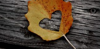 JETO ME ZEMRËN QË E DO ÇDOKUSH!