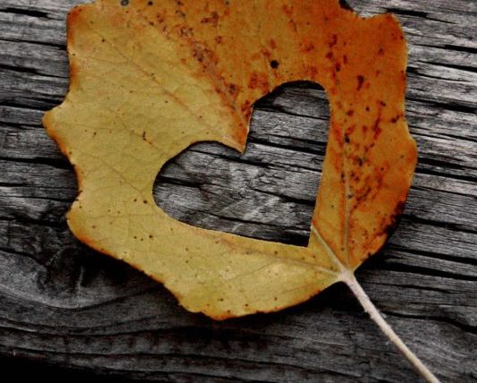 JETO ME ZEMRËN QË E DO ÇDOKUSH!