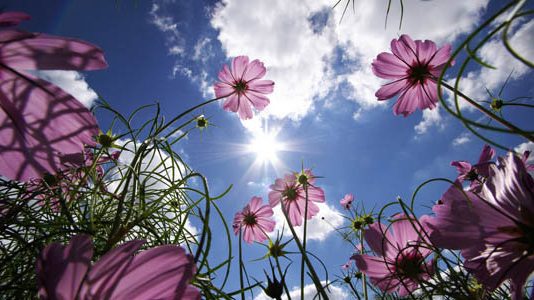 REALITETI I LUMTURISË DHE BURIMI I SAJ